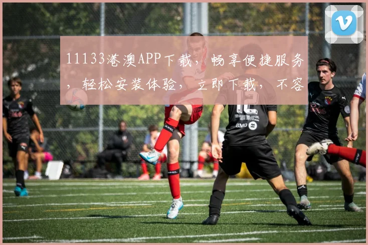 11133港澳APP下载，畅享便捷服务，轻松安装体验，立即下载，不容错过，双平台同步更新