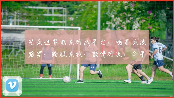 完美世界电竞对战平台，畅享竞技盛宴，跨服竞技，激情对决，公平竞技，体验极致
