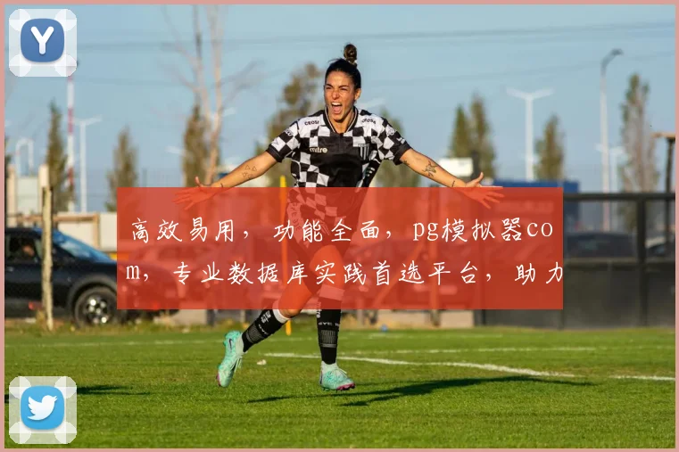 高效易用，功能全面，pg模拟器com，专业数据库实践首选平台，助力技能提升
